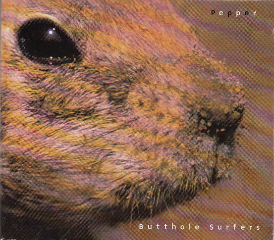“All in Love with Dying: The Twisted Cool of Butthole Surfers’ ‘Pepper’”
