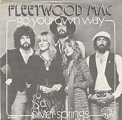 Highways of Heartbreak: The Enduring Fire of “Go Your Own Way” by Fleetwood Mac