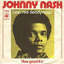 Sunlight, Spirit, and a Soulful Smile: The Lasting Brilliance of Johnny Nash’s “I Can See Clearly Now”